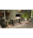 Desk MOON black body / tabletop oak wotan order